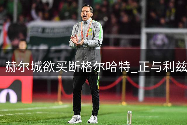 赫尔城欲买断格尔哈特 正与利兹联展开转会磋商
